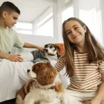 mascotas en el condominio